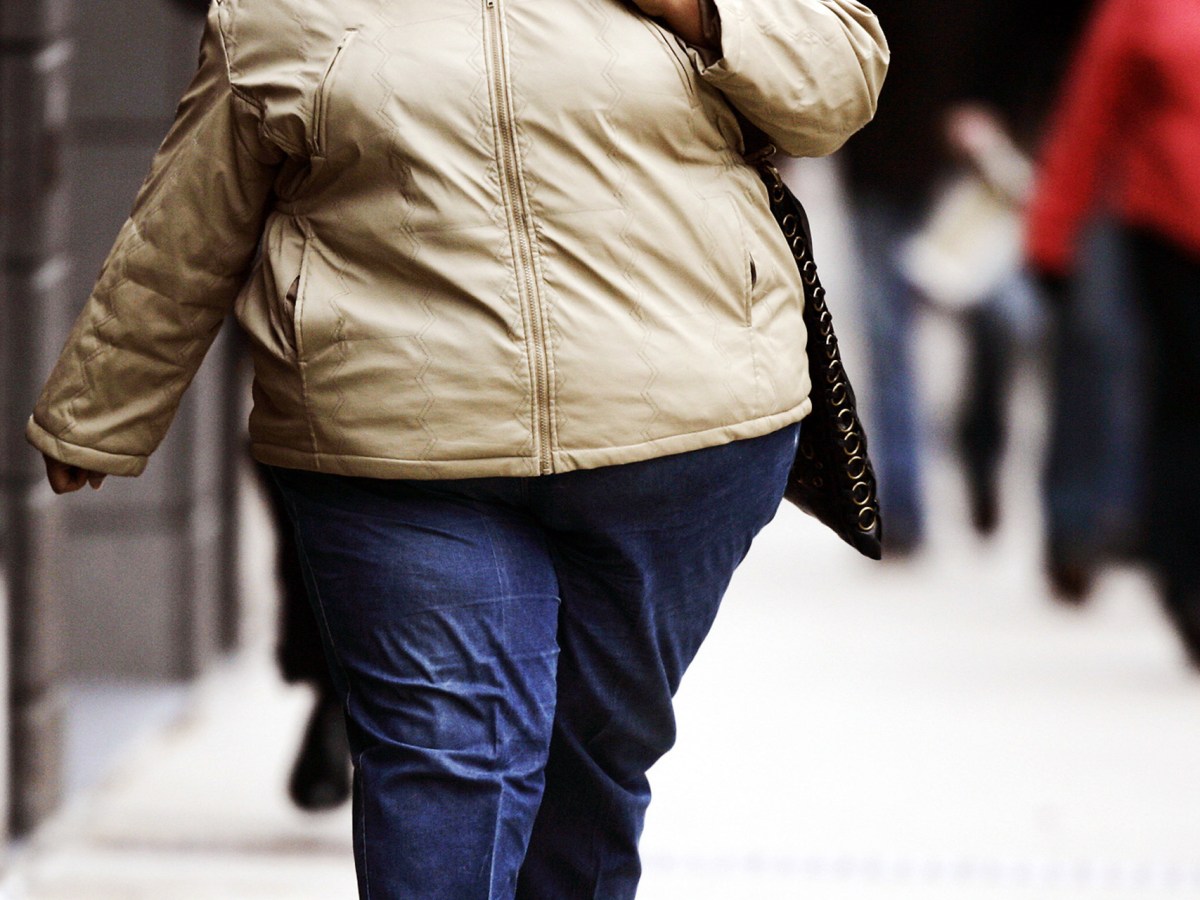 L&rsquo;invention sociale de&nbsp;l&rsquo;obésité